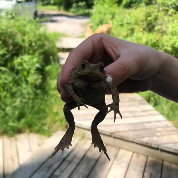 Meet your Posher, Mark - Picture 1 of 1